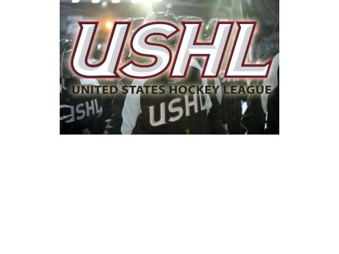 Jr. Blues Show Well at USHL Combine!