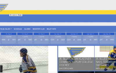 Welcome to the new STLJrBlues.Org